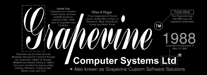 Grapevine Computer Systems, Grapevine Custom Software solitions